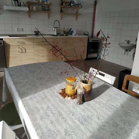 Apartman V Anenskem Udoli Moravska Trebova Exterior photo