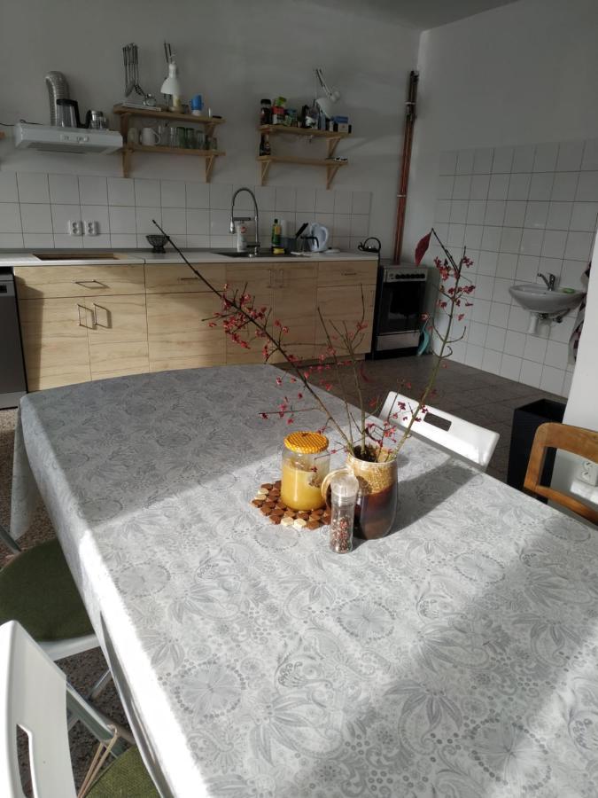 Apartman V Anenskem Udoli Moravska Trebova Exterior photo